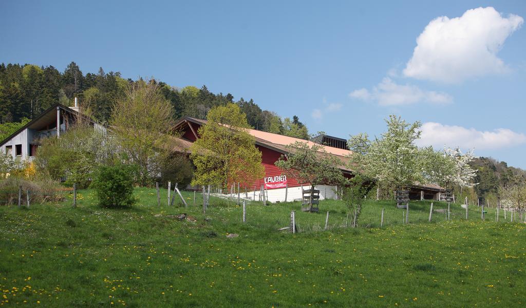 Ecohotel L'Aubier Montézillon Exterior photo